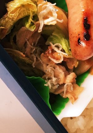 朝の時短に一品！白菜と豚肉の優しい味-レシピのメイン写真