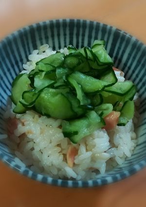鮭ときゅうりの酢飯ごはん-レシピのメイン写真