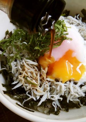 ポン酢で食べる温玉のっけしらす丼-レシピのメイン写真