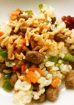 犬ご飯　がっつりヘルシー肉×肉ご飯-レシピのメイン写真