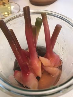 谷中生姜のピクルス-レシピのメイン写真