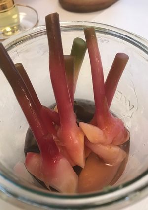 谷中生姜のピクルス-レシピのメイン写真