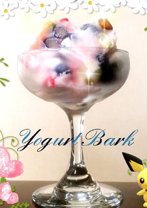 『DANONE』de簡単ヨーグルトバーク-レシピのメイン写真
