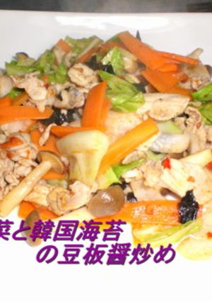 豚野菜と韓国海苔の豆板醤炒め-レシピのメイン写真