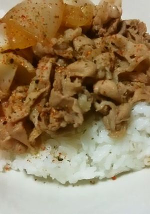 吉野家味の豚丼！-レシピのメイン写真
