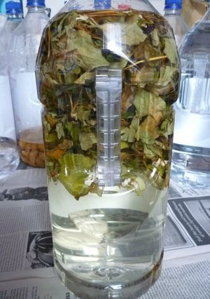 どくだみ酒を作る-レシピのメイン写真