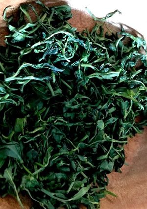 釜炒り茶 手作り-レシピのメイン写真