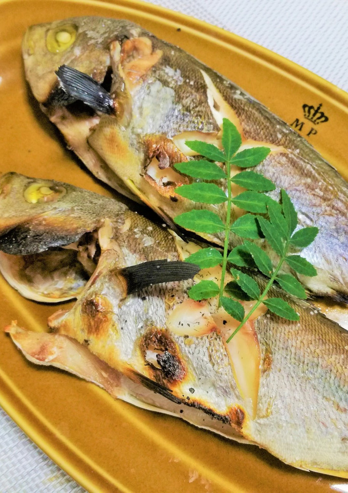 【釣食】イサキの塩焼き-レシピのメイン写真