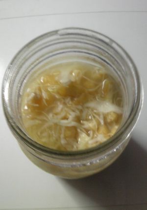 91円酢漬け キャベツ+油揚げ-レシピのメイン写真
