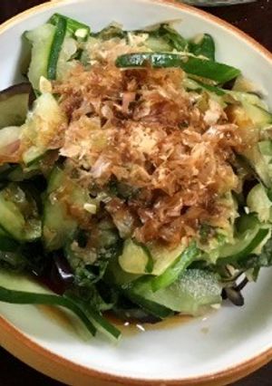 簡単•時短•健康料理!茄子&きゅうり漬け-レシピのメイン写真
