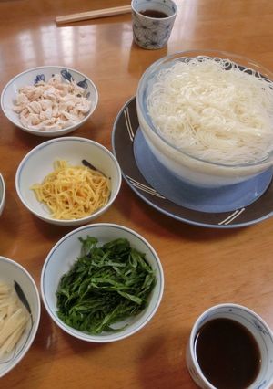 氷の器で 素麺-レシピのメイン写真