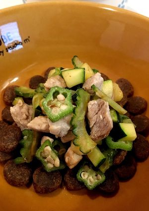 犬ごはん 豚ヒレ肉のグリーンチャンプル-レシピのメイン写真
