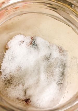 自家製アンチョビの作り方-レシピのメイン写真