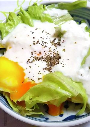 レタスと温泉卵のヘルシーサラダ-レシピのメイン写真