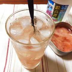 รูปของ ガリ酎★