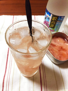 ガリ酎★-レシピのメイン写真