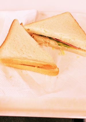 10分でできる☆簡単ホットサンドもどき-レシピのメイン写真