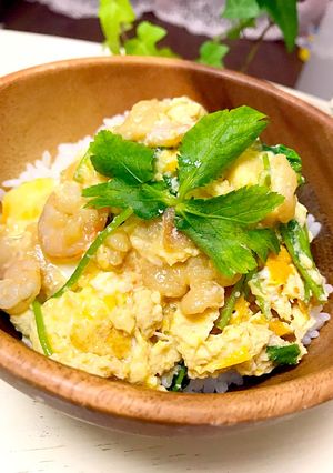 エビ天丼風〜ちょこっとヘルシー〜-レシピのメイン写真