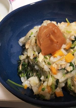ダイエットにもぴったり 夏のおじや-レシピのメイン写真