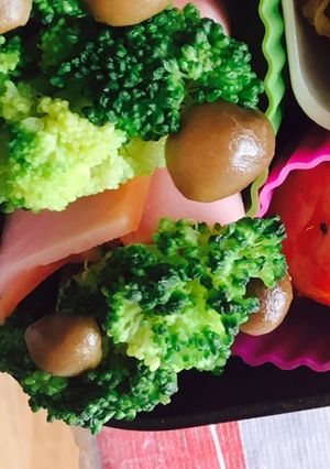ハムとブロッコリーなどの野菜-レシピのメイン写真