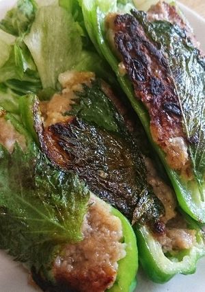 大葉入りピーマンの肉詰め-レシピのメイン写真