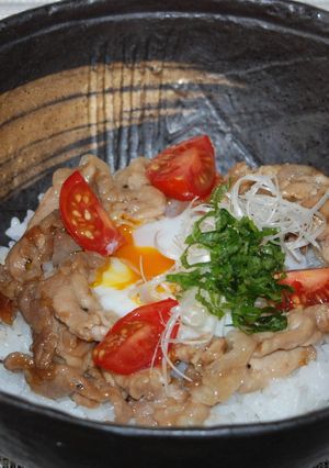 豚ロース肉の梅酢照り焼きさっぱり丼♪-レシピのメイン写真