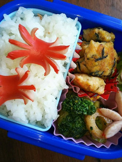 2017/8/2年少弁当-レシピのメイン写真
