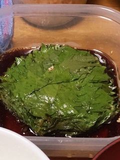 大葉の醤油漬け-レシピのメイン写真