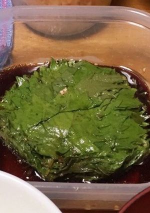 大葉の醤油漬け-レシピのメイン写真