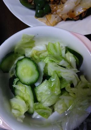 さっぱり夏野菜-レシピのメイン写真