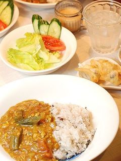 大量消費♪オクラとトマトのキーマカレー-レシピのメイン写真