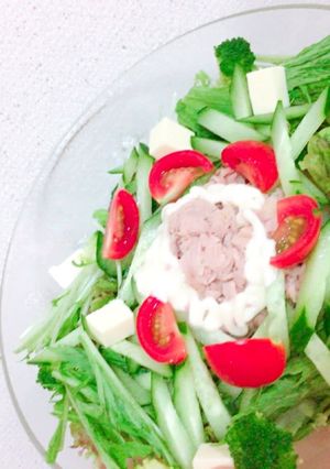 夏にピッタリ♪糖質オフのサラダ麺-レシピのメイン写真