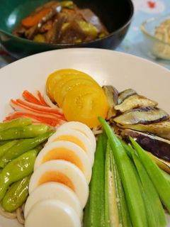 夏野菜のサラダそば-レシピのメイン写真