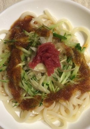 サッパリ冷やしおろしうどん-レシピのメイン写真