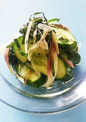 美味しい♪胡瓜と茗荷のさっぱり漬け♪-レシピのメイン写真