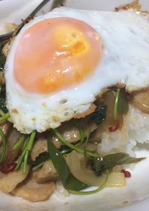 手抜きパッカパオ簡単に本場の味-レシピのメイン写真