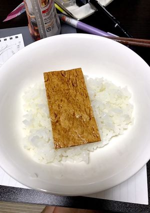 大学生が作るうな重-レシピのメイン写真