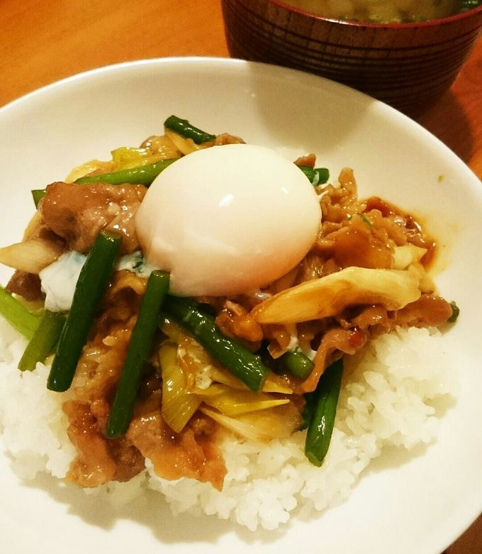 ☆スタミナ丼☆ブラウン 写真 おしゃれ 小物 アクセサリー カラビナ