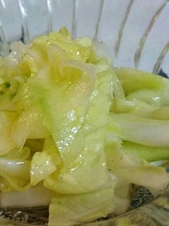 さっぱりあと一品☆きゅうりと白菜のマリネ-レシピのメイン写真