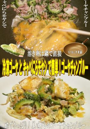 美味ドレのにらモヤシでゴーヤチャンプルー-レシピのメイン写真