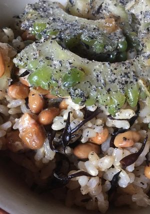 納豆とゴーヤの胡麻和えまぜご飯-レシピのメイン写真