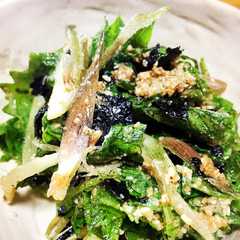 รูปของ 大葉みょうが大量消費 薬味の海苔ナムル