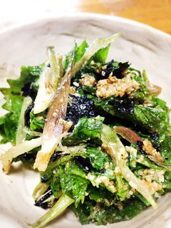 大葉みょうが大量消費 薬味の海苔ナムル-レシピのメイン写真