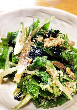 大葉みょうが大量消費 薬味の海苔ナムル-レシピのメイン写真
