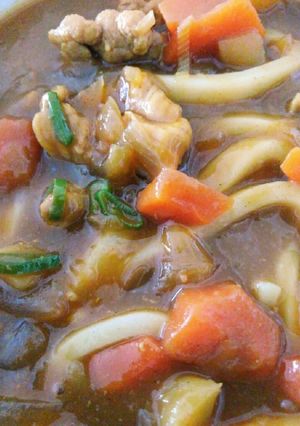 簡単すぎ☆残りカレーでリメイクうどん-レシピのメイン写真