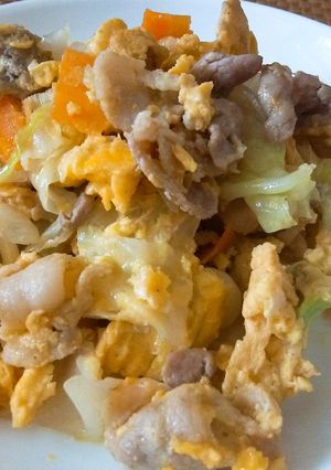 【龍愛】豚肉とキャベツのマヨ炒め-レシピのメイン写真