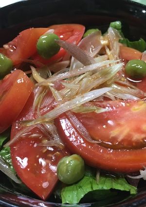 さっぱりトマトどんぶり-レシピのメイン写真