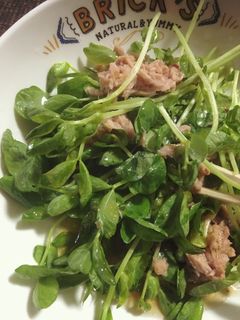 豆苗とツナのサラダ-レシピのメイン写真