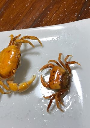 ビールのつまみに最高〜☆サワガニの素揚げ-レシピのメイン写真