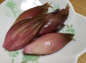 母の味♡みょうがのしそ味大根酢漬け♪-レシピのメイン写真